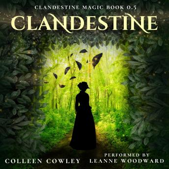 Clandestine: A fantasy romance