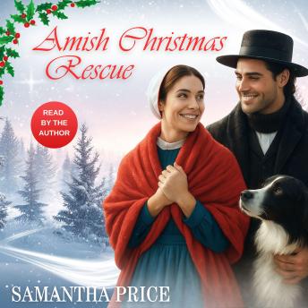 Amish Christmas Rescue: Amish Romance