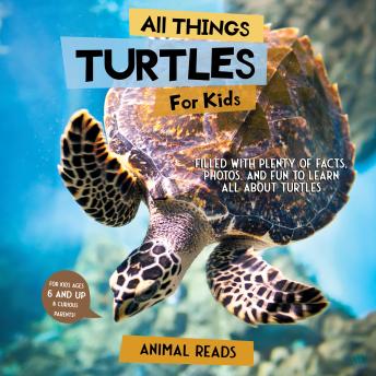 All Things Turtles For Kids: Filled With Plenty of Facts, Photos, and Fun to Learn all About Turtles