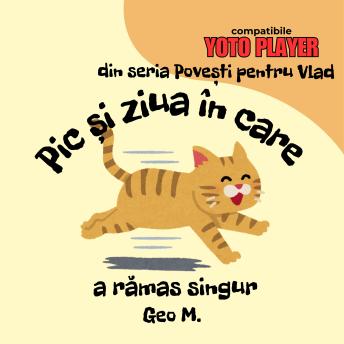 [Romanian] - Pic și ziua în care a rămas singur: Povești audio pentru copii în limba română