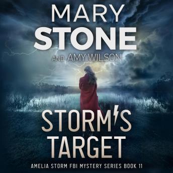 Storm's Target