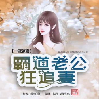 [Chinese] - 一夜惊喜：霸道老公狂追妻1: 契约婚姻变真香，霸道总裁追妻忙