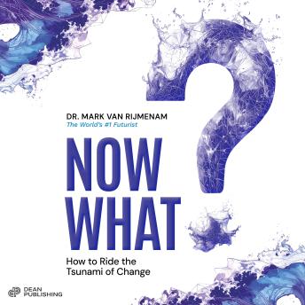Now What?: How to Ride the Tsunami of Change