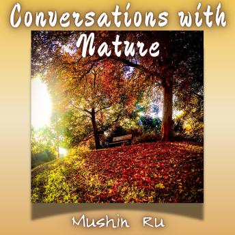 Conversations with Nature: A True Zen Story About a Moment of Just Sitting