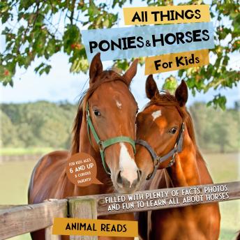 All Things Ponies & Horses For Kids: Filled With Plenty of Facts, Photos, and Fun to Learn all About Horses