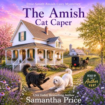 The Amish Cat Caper: Amish cozy mystery