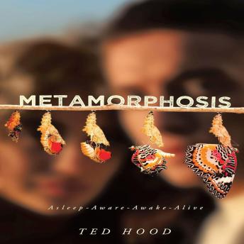 Metamorphosis: Asleep-Aware-Awake-Alive