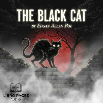 The Black Cat