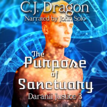 The Purpose of Sanctuary