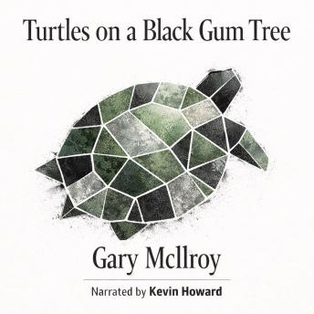 Turtles on a Black Gum Tree