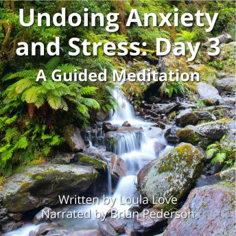Listen to Undoing Anxiety and Stress: Day 3: A Guided MeditationUndoing Anxiety and Stress: Day 3: A Guided Meditation by Brian Pederson Listen to Undoing Anxiety and Stress: Day 3: A Guided MeditationUndoing Anxiety and Stress: Day 3: A Guided Meditation by Brian Pederson