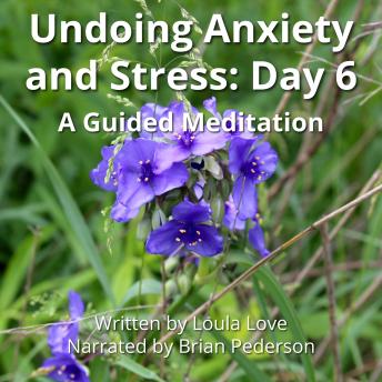 Undoing Anxiety and Stress: Day 6: A Guided Meditation