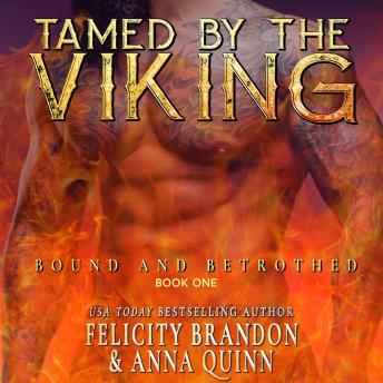 Tamed by the Viking: spicy Viking romance