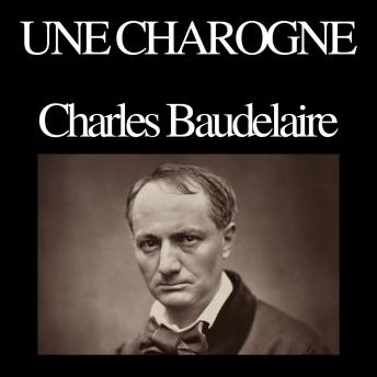 [French] - Une charogne