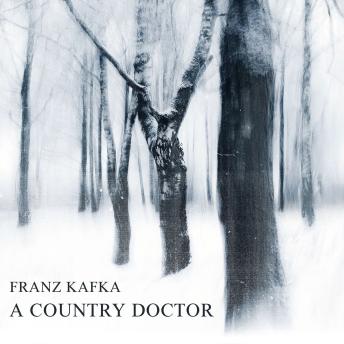A Country Doctor