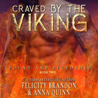 Craved by the Viking: spicy Viking romance