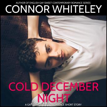 Cold December Night: A Gay Holiday Romance Short Story