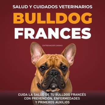 [Spanish] - Salud y Cuidados Veterinarios Bulldog Frances