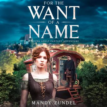 For the Want of a Name: A Young Adult Fantasy Adventure