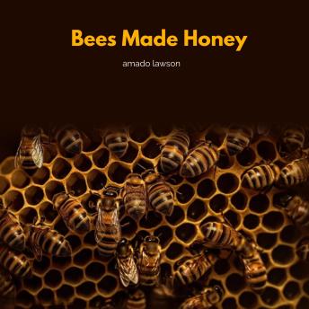 Bees Made Honey Cover