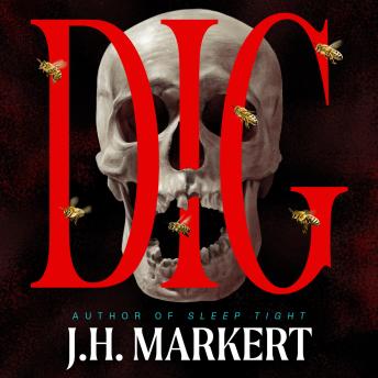 Dig: A Novel