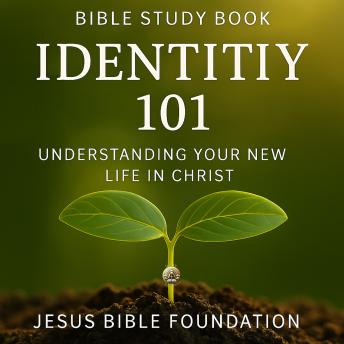 Bible Study Book Identity 101: Understanding Your New Life in Christ