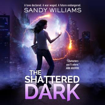 The Shattered Dark