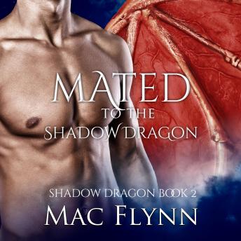 Mated to the Shadow Dragon: Shadow Dragon Book 2 (Dragon Shifter Romance)