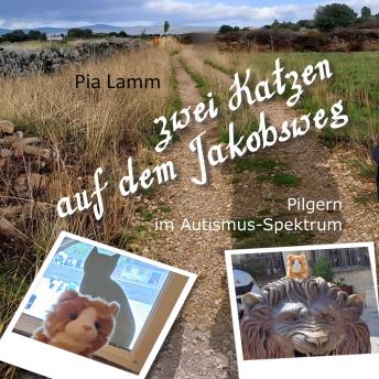 [German] - Zwei Katzen auf dem Jakobsweg: Pilgern im Autismus-Spektrum