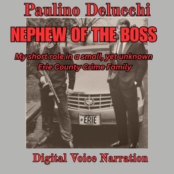 NEPHEW OF THE BOSS: My short role in a small, yet unknown Erie County Crime Family