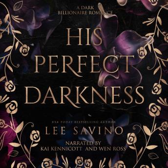 His Perfect Darkness: A dark billionaire romance