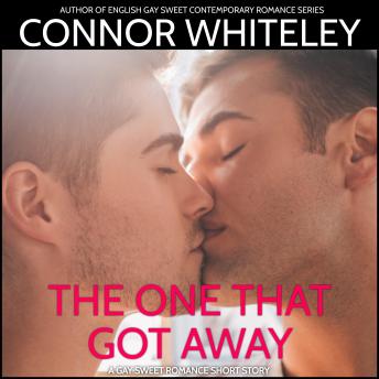 The One That Got Away: A Gay Second Chance Sweet Contemporary Romance Short Story