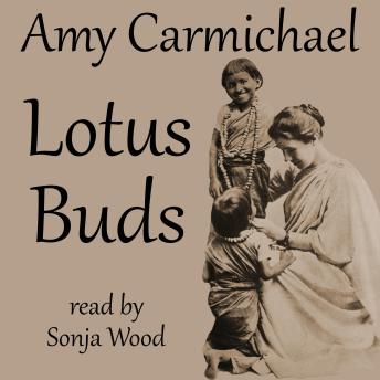 Lotus Buds
