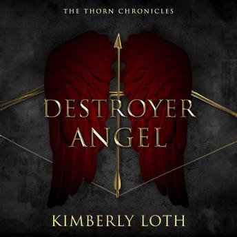Destroyer Angel