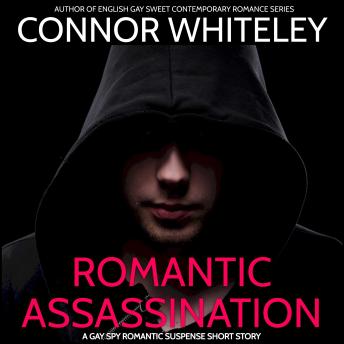 Romantic Assassination: A Gay Romantic Suspense Short Story