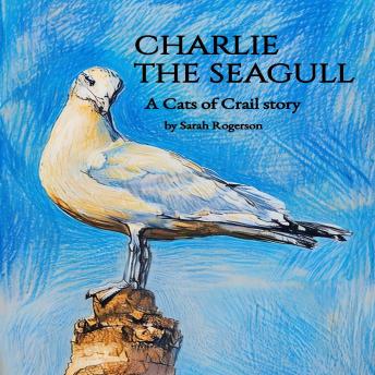 Charlie the Seagull: A Cats of Crail story - Sarah Rogerson