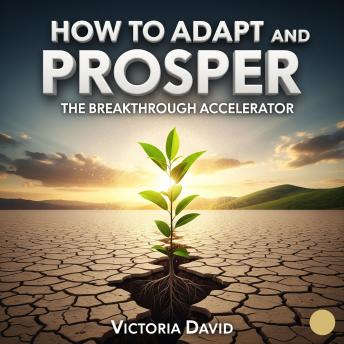 How to Adapt and Prosper: The Breakthrough Accelerator