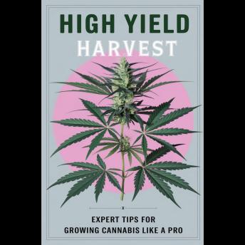 High Yield Harvest: Expert Tips for Growing Cannabis Like a Pro