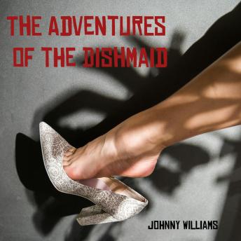 Adventures of the Dishmaid - Johnny Williams
