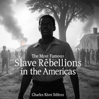 The Most Famous Slave Rebellions in the Americas: The History of Important Uprisings across the Western Hemisphere
