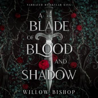 A Blade of Blood and Shadow: A Slow-Burn Dark Fae Romantasy