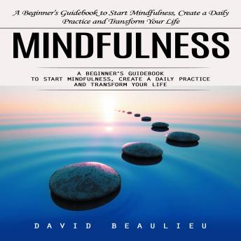Mindfulness: Cultivate Clarity for a More Productive and Peaceful You (A Beginner’s Guidebook to Start Mindfulness, Create a Daily Practice and Transform Your Life)