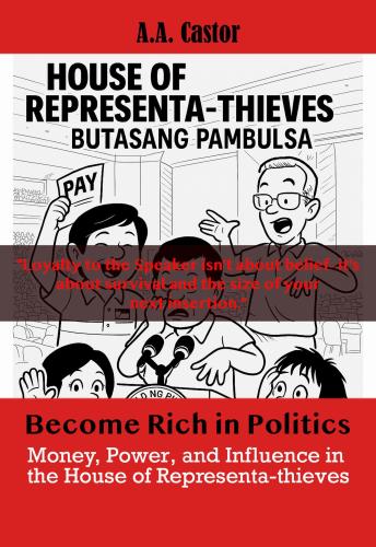 Become Rich in Politics: Money, Power, and Influence in the House of Representa-thieves