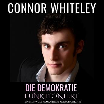 [German] - Die Demokratie funktioniert: Eine schwule zeitgenössische Liebesgeschichte