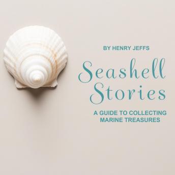 Seashell Stories: A Guide to Collecting Marine Treasures