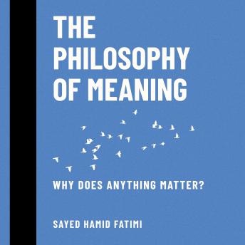 The Philosophy of Meaning: Why Does Anything Matter?