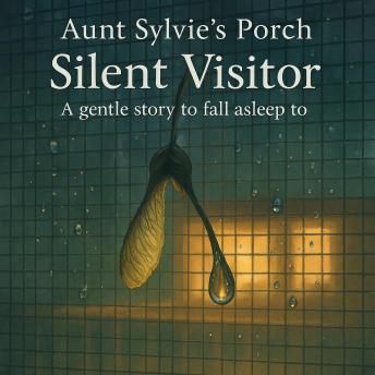 Silent Visitor: A gentle story to fall asleep to