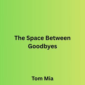 The Space Between Goodbyes