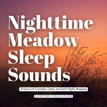 Nighttime Meadow Sleep Sounds: 4 Hours of Crickets, Owls, and Soft Night Breezes