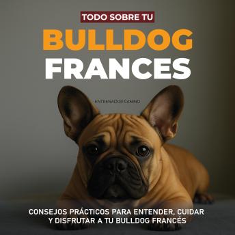 [Spanish] - Todo sobre tu Bulldog Francés